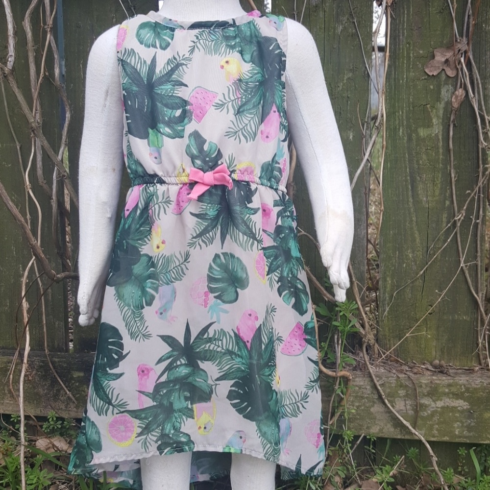 🎉 HP 🎉 H&M Girls Dress Birds 3-4 years